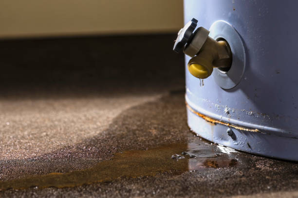 Best Water damage contractors near me  in , SC