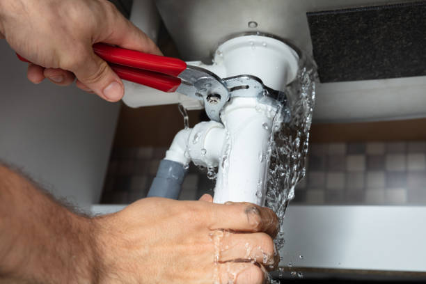 Best Commercial water damage restoration  in , SC