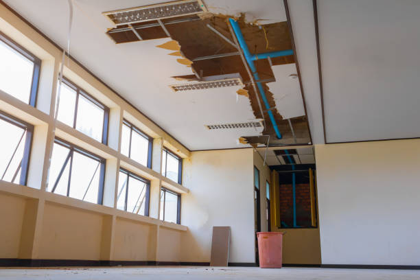 Best Flood damage cleanup  in , SC