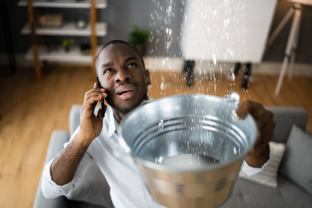 Best Carpet water damage restoration  in , SC