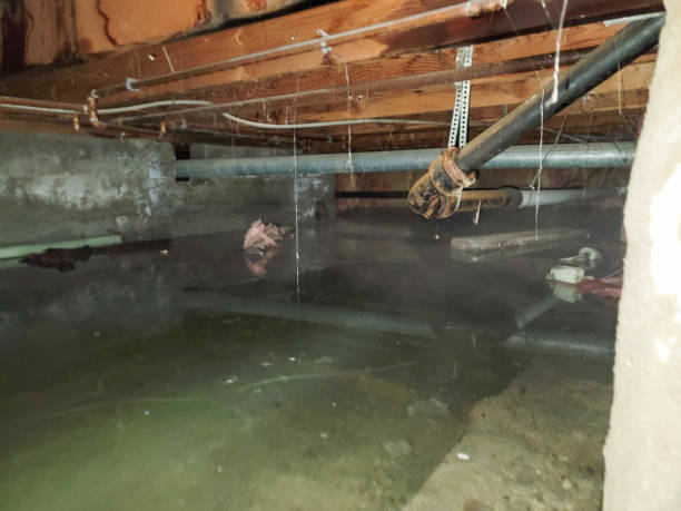 Best Residential water damage restoration  in , SC