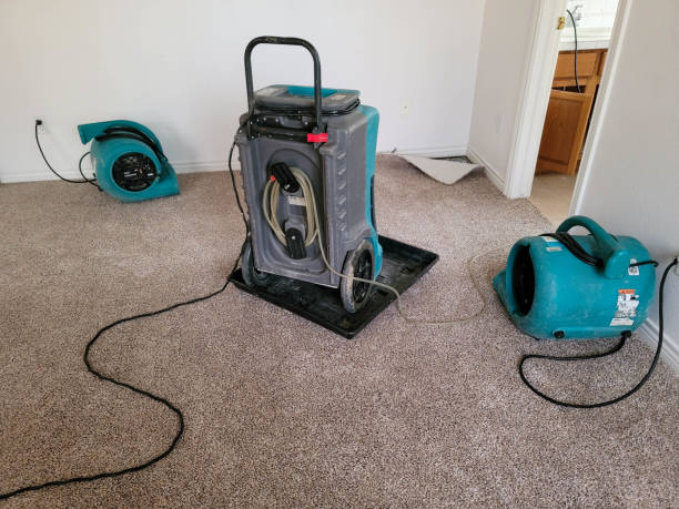 Best Water damage restoration mold remediation  in , SC