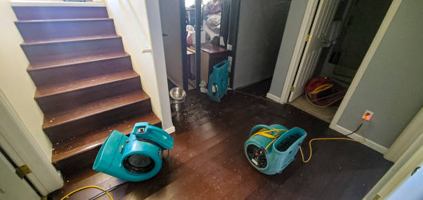 Best Flooded house restoration  in , SC