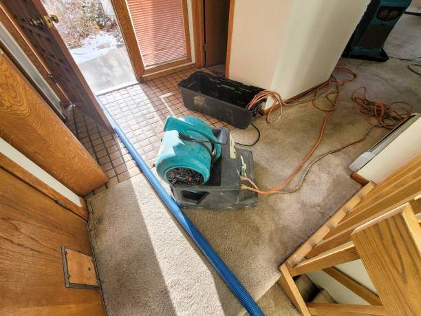 Best Ceiling water damage repair  in , SC