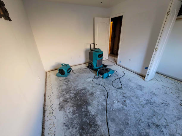 Best Commercial water damage restoration  in , SC