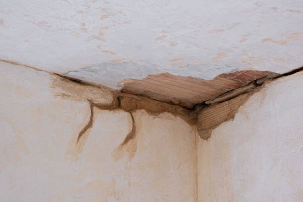 Best 24/7 water damage repair  in , SC