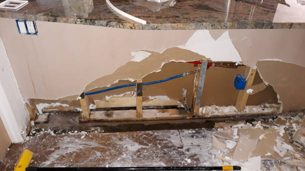 Best Professional water damage repair  in , SC