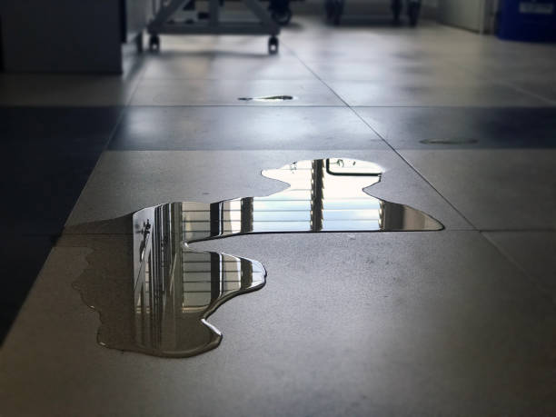 Best Water damage cleanup near me  in , SC