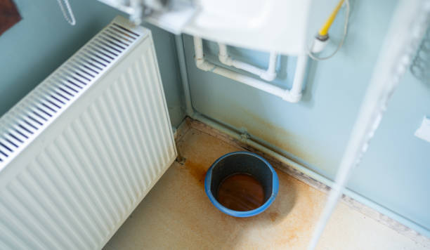 Best Mold removal after water damage  in , SC