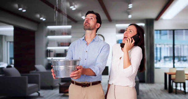 Best Water damage restoration near me  in , SC