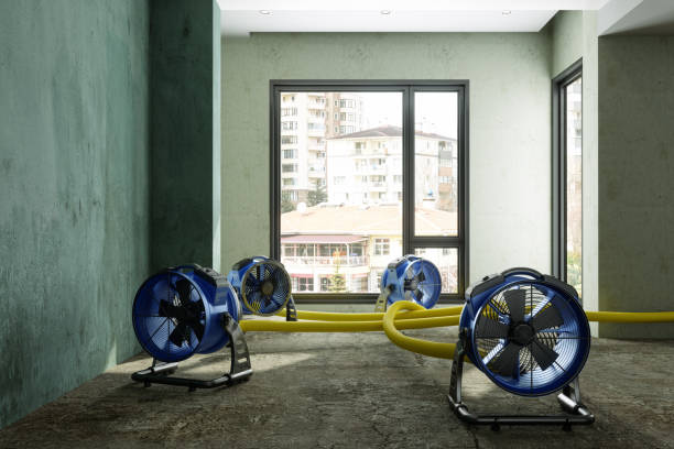 Best Emergency water damage restoration  in , SC