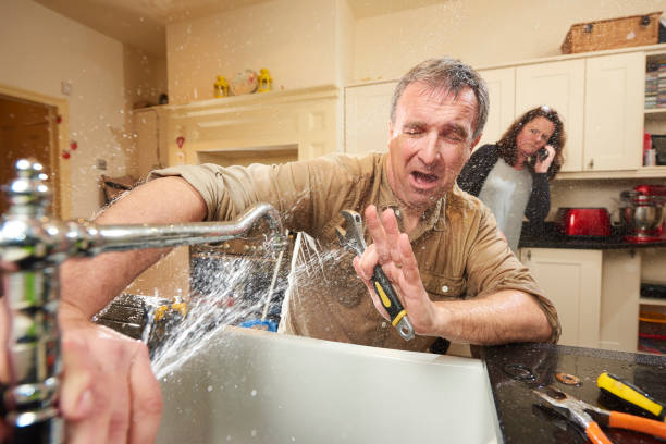 Best Basement water damage restoration  in , SC